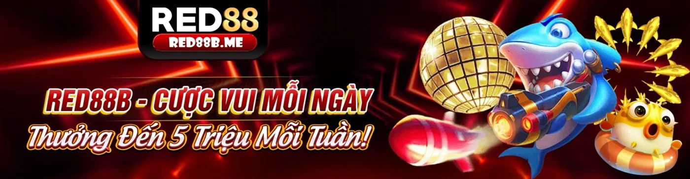 Tổng quan các phương thức thanh toán K8vina Bet